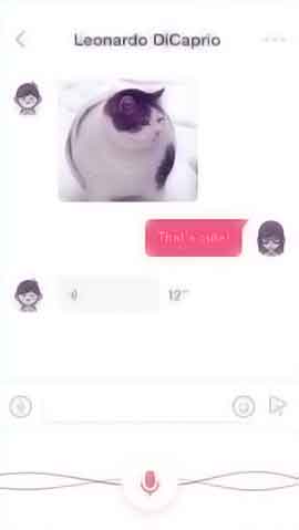 网页攻击平台软件程序维护界面